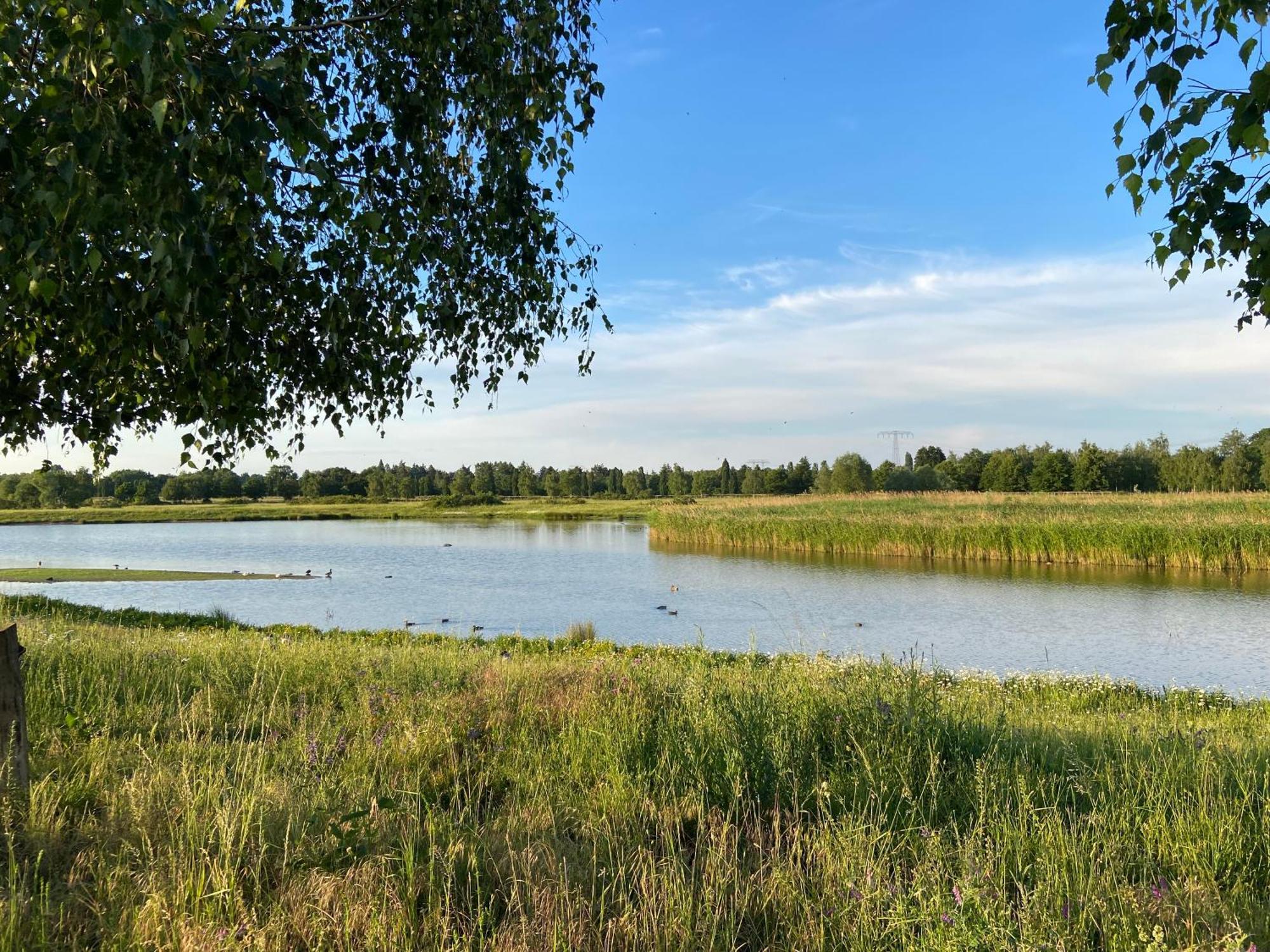Nahe Airport Ber/ Adlershof Lägenhet Schönefeld Exteriör bild
